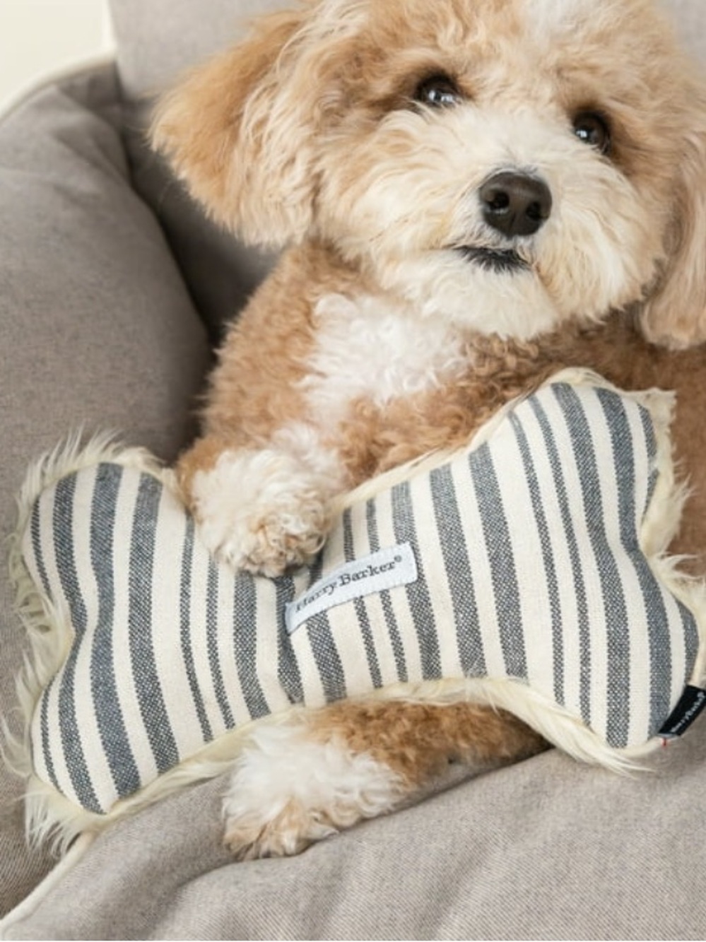 Harry Barker Market Stripe Bone Toy small NWT